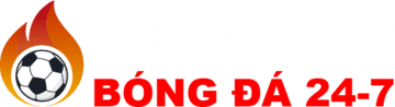 biển 19
